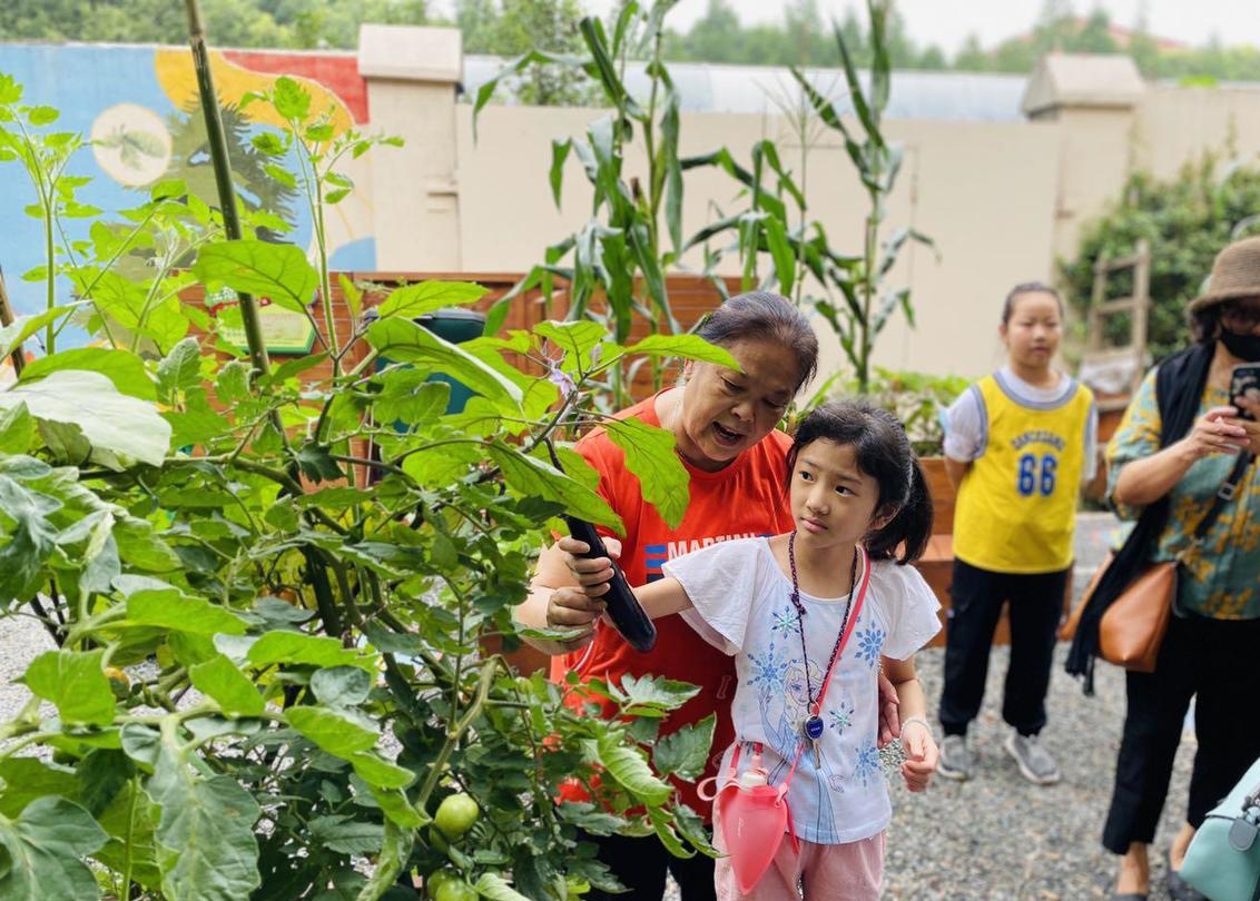 上海长宁区虹旭生境花园 | 城市野生动植物的绿色家园-36