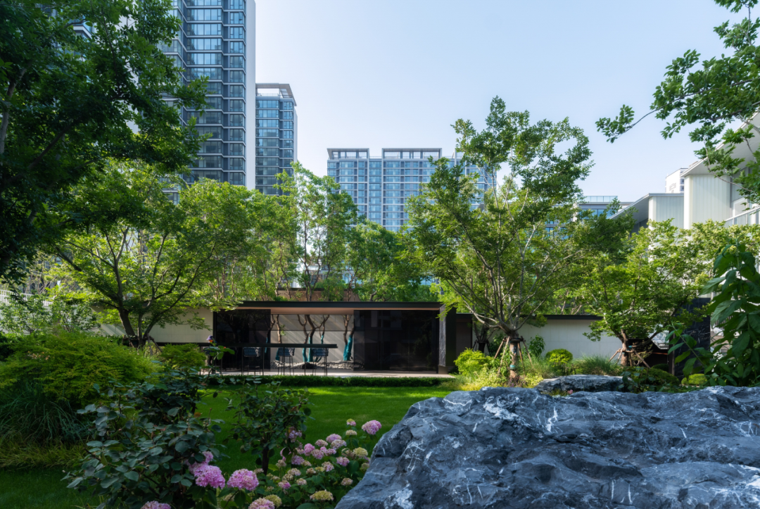 金沙操盘 | 成功经验：从河南火到全国各地（实地考察+主题演讲）-106