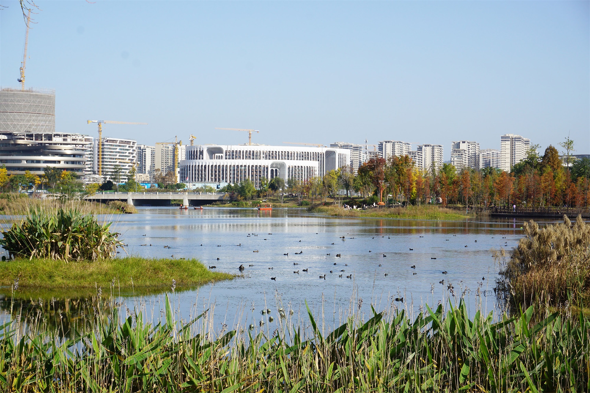 公园城市生态价值转化的设计实践·兴隆湖湿地公园丨中国成都丨中国建筑西南设计研究院有限公司-53