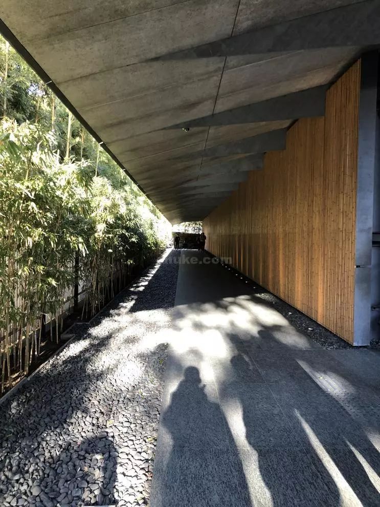 日本东方研习收获 | 情感、留白与冥想-8