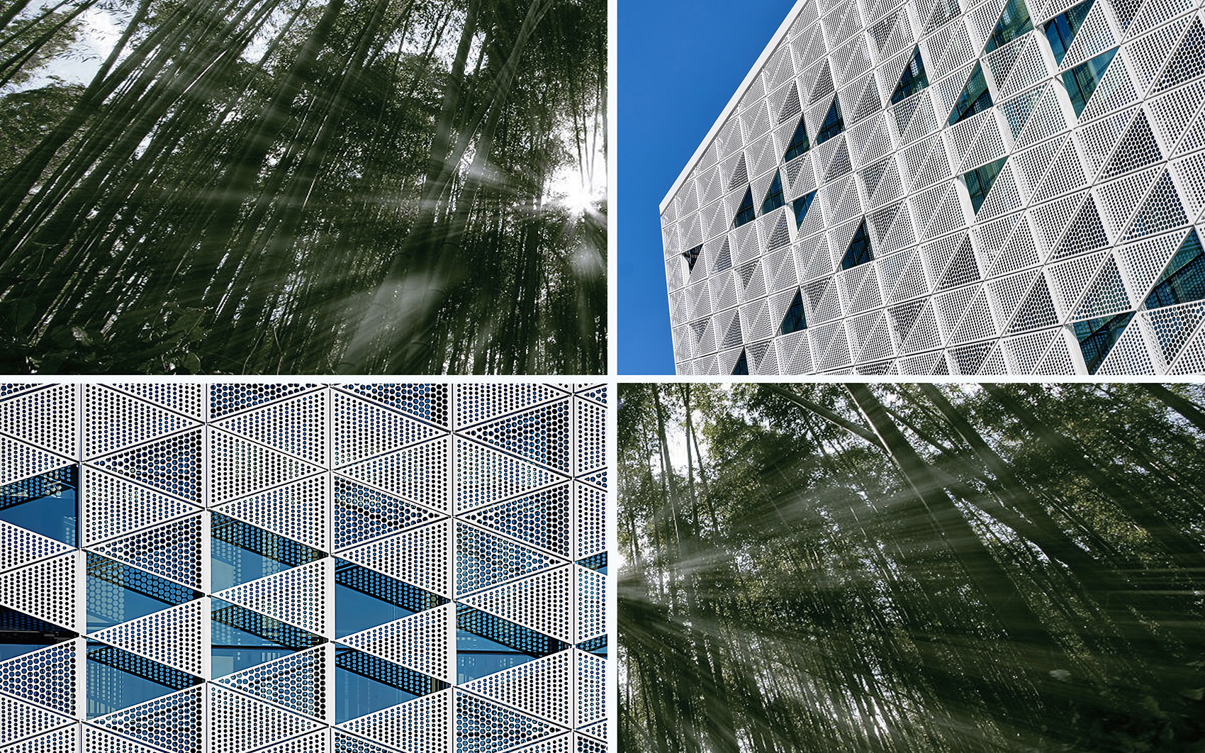 成都外国语学院宜宾校区综合体育馆丨中国宜宾丨同济大学建筑设计研究院(集团)有限公司-74