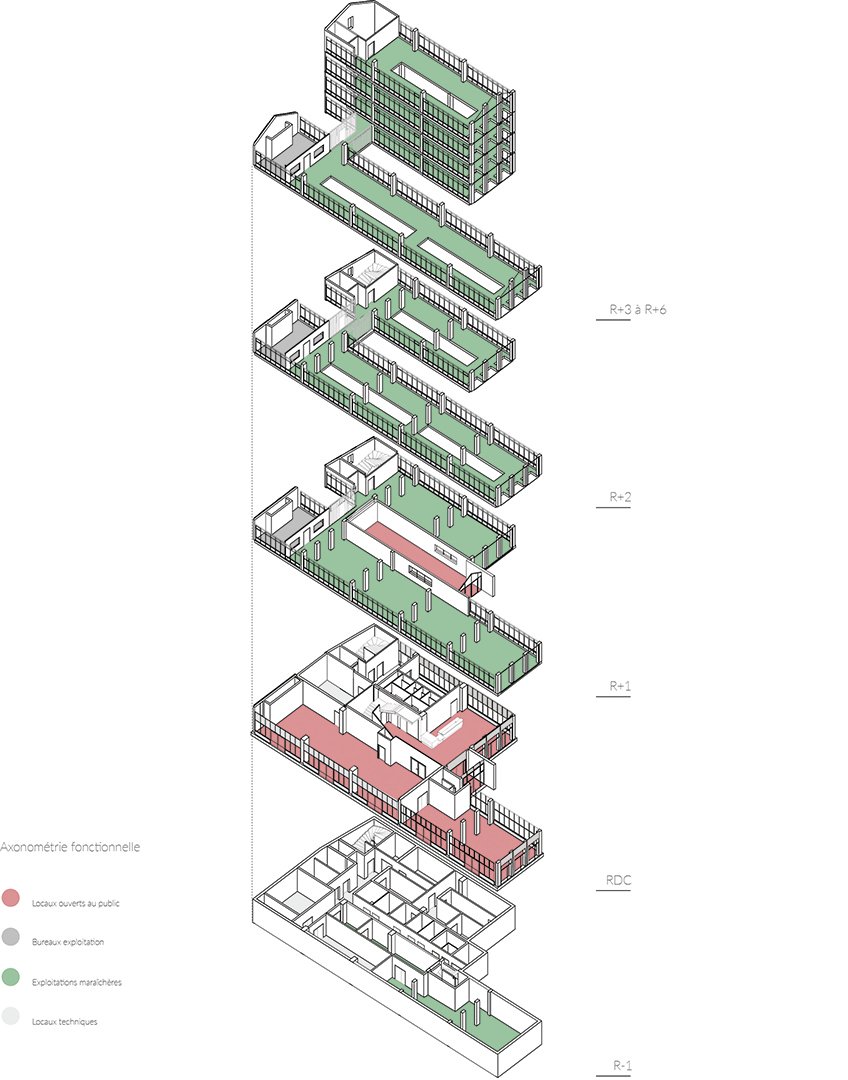 LaCitéMaraîchère · 现代农业与可持续发展的创新综合体丨法国丨ilimelgo,secousses 等-36