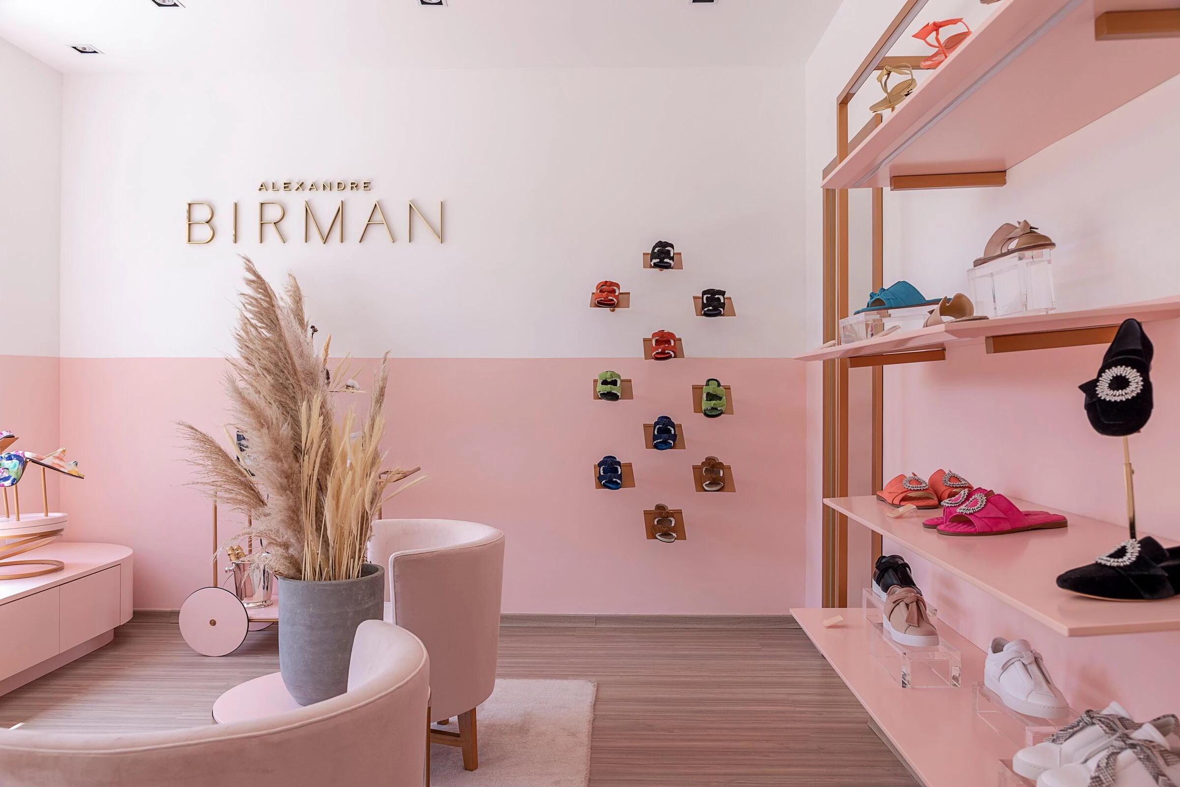 Alexandre Birman Store-20