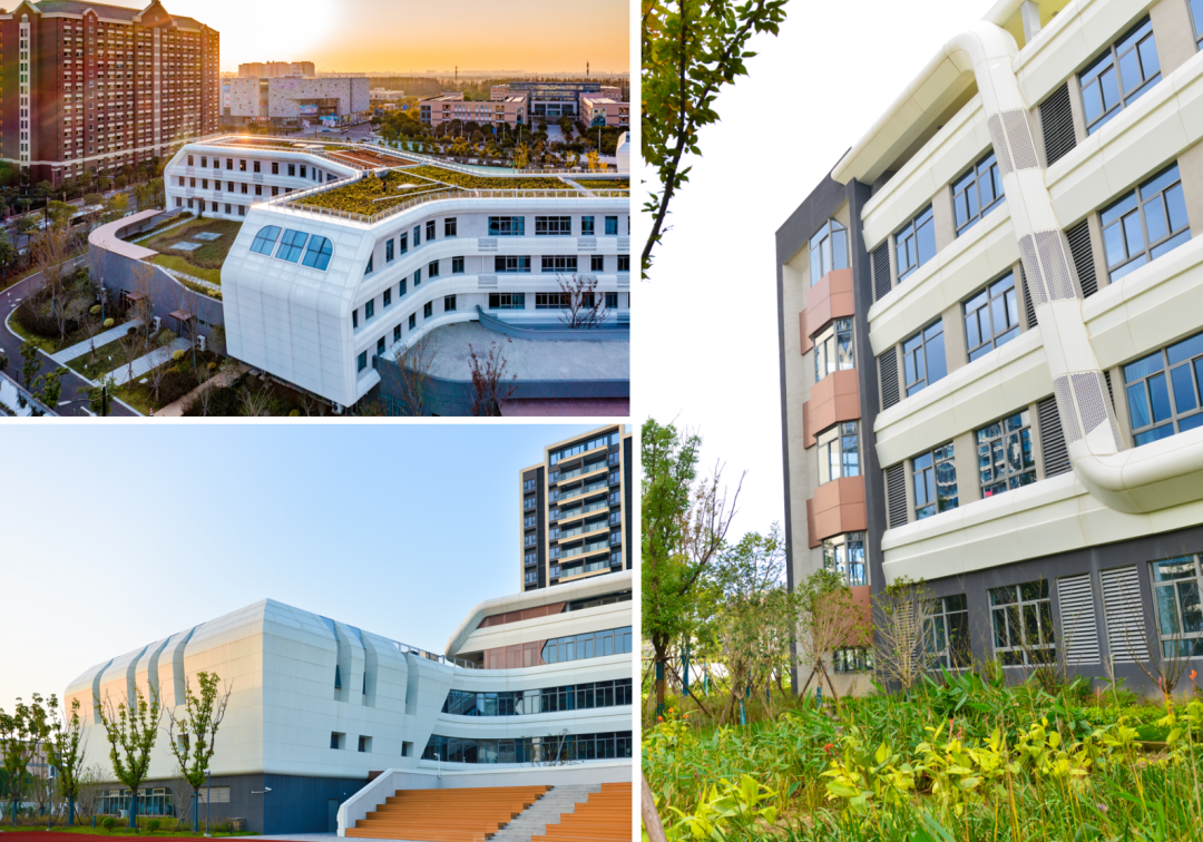 LDG喜报︱上海师范大学附属浦东临港科创小学荣获“2025年度上海市优秀工程勘察设计项目”公共建筑三等成果-29