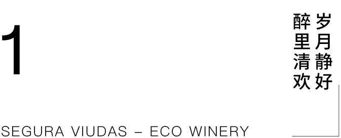 穿越时空的葡萄酒窖设计丨西班牙-6