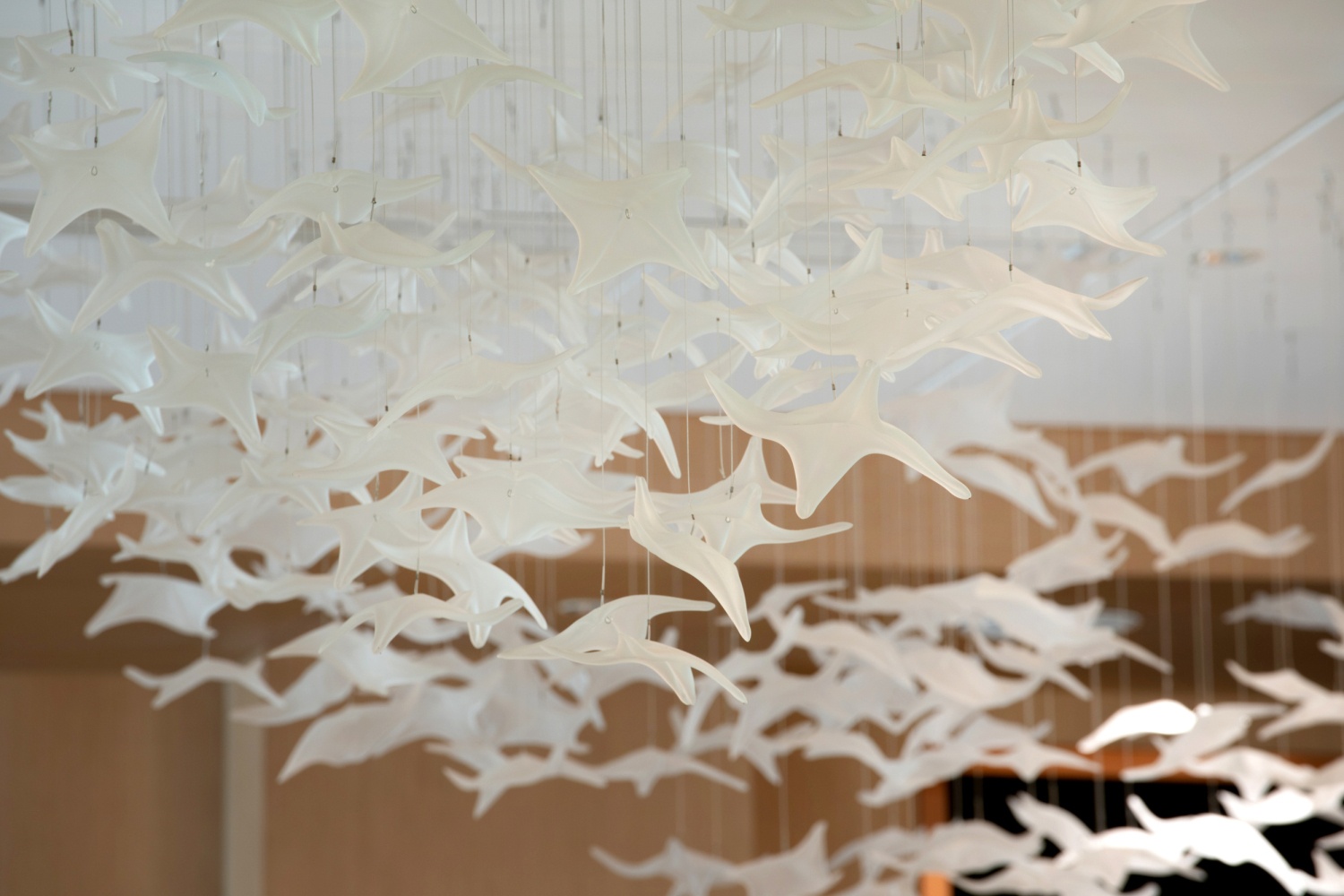 “花海”生活美学艺术馆丨中国盐城丨CHAO 巢羽设计事务所-18