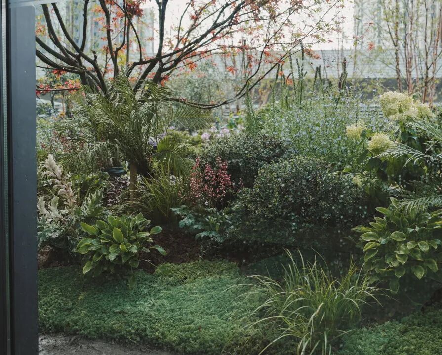 城市山丘|瑞安·武汉天地云逸-71