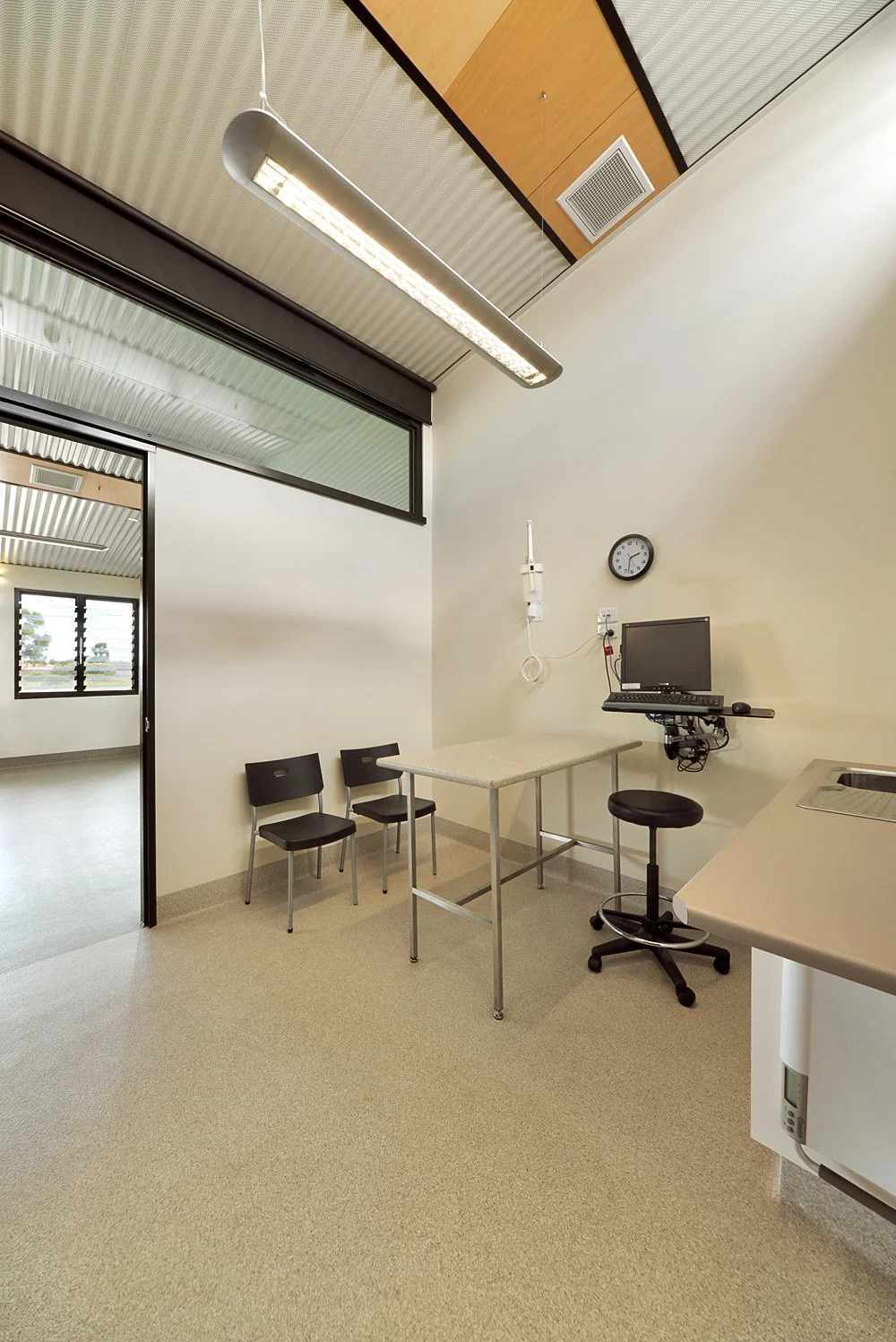 Veterinary Clinic, Hillside-10