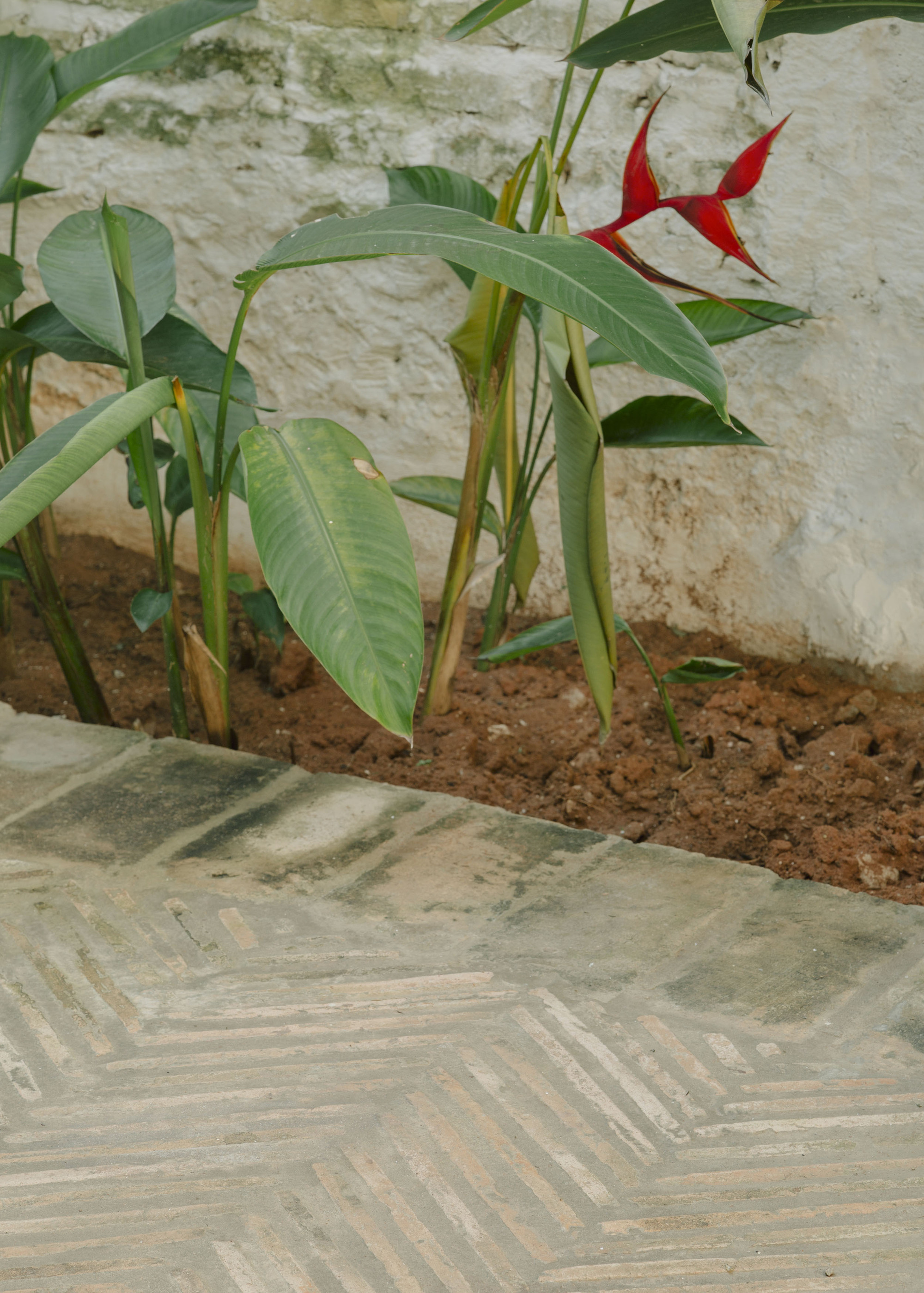 塞尔维亚之家丨Grupo Culata Jovái-29