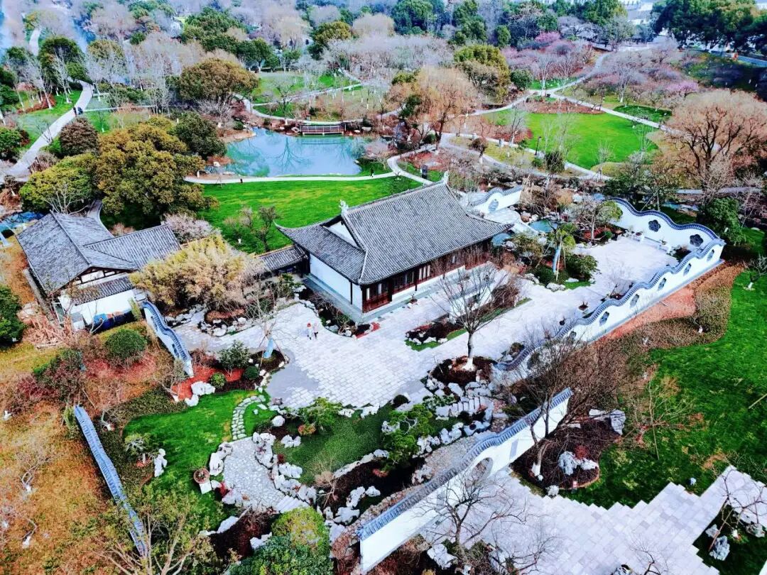 【城市名片】杭州超山-丁山湖综合保护工程项目：再造超山，匠心筑就杭州文旅新地标-15