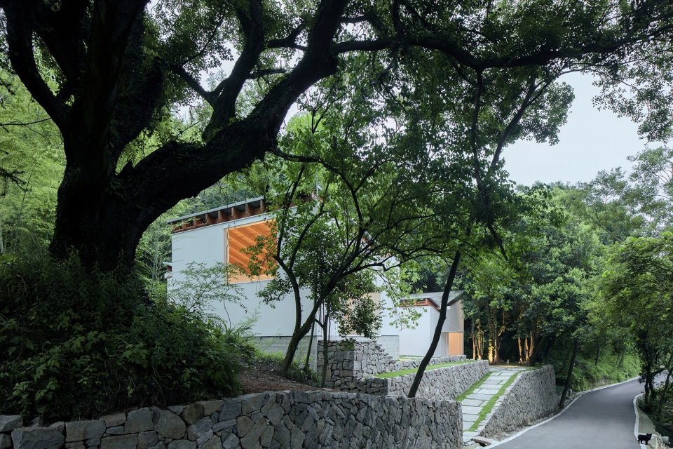 山林间的蝶翼建筑 · 定海台房丨中国舟山丨久舍营造工作室-36