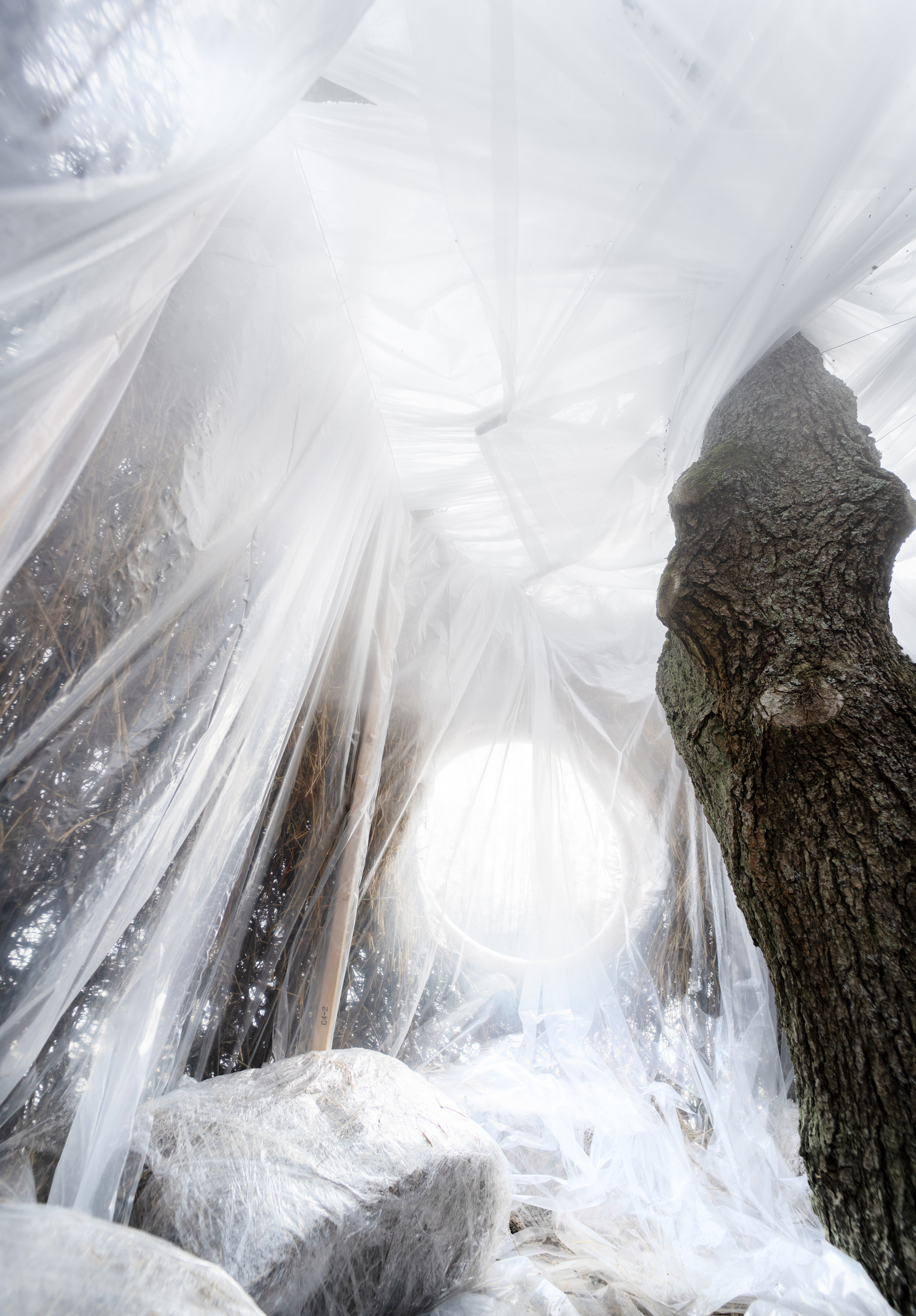 一树四季装置丨瑞典丨Ulf Mejergren + Antti Laitinen-28