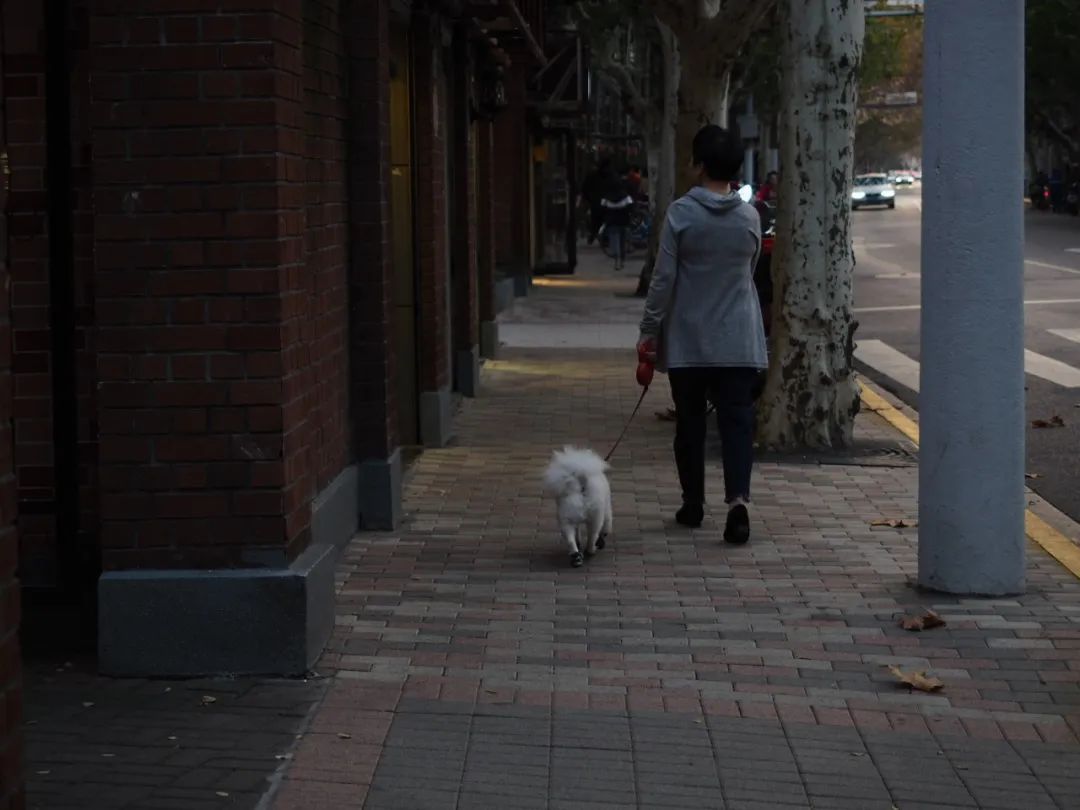 上海愚园路MANNER烘焙咖啡馆丨中国上海丨UDstudio-5