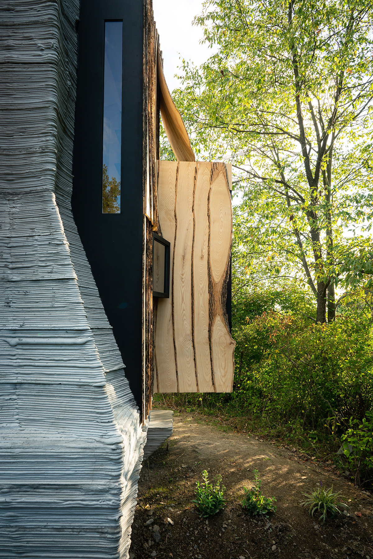 可持续白蜡木小屋丨美国纽约丨HANNAH设计事务所-31