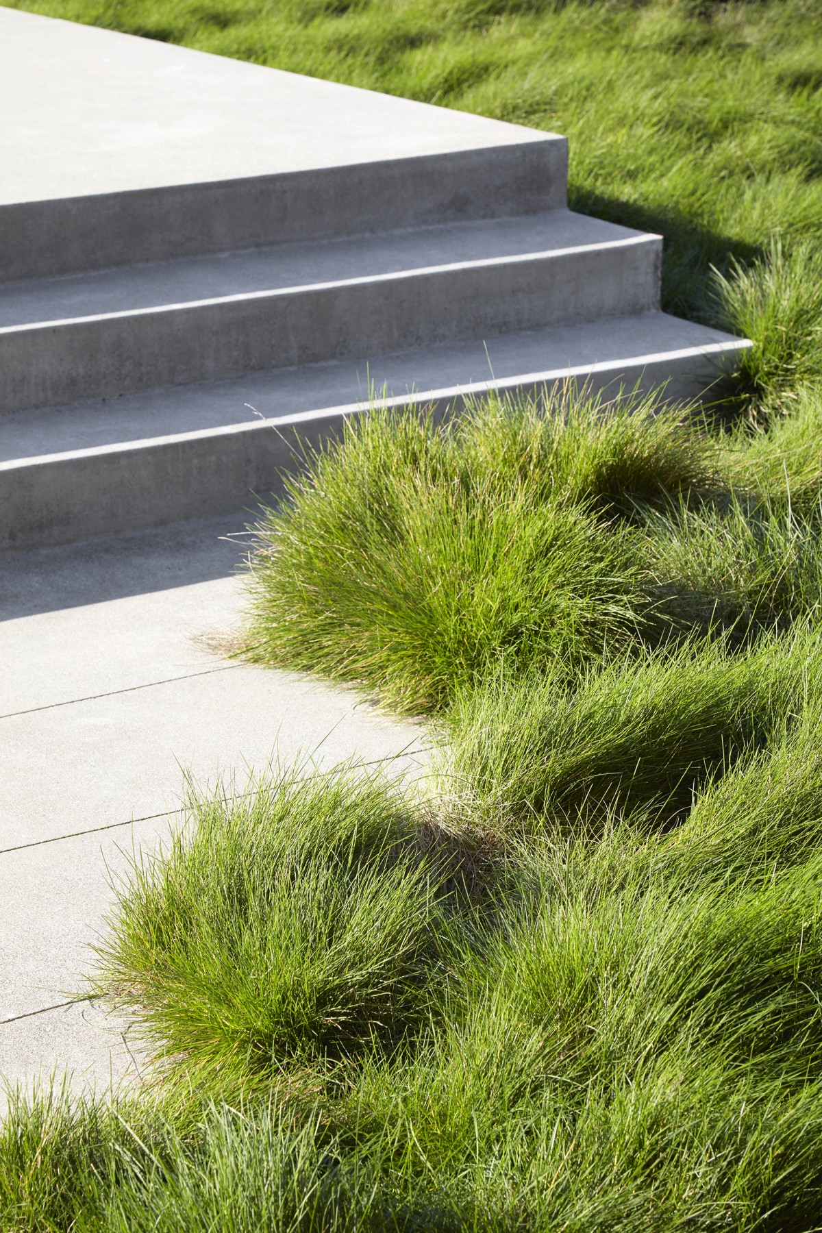 山谷橡树下的宁静周末-7