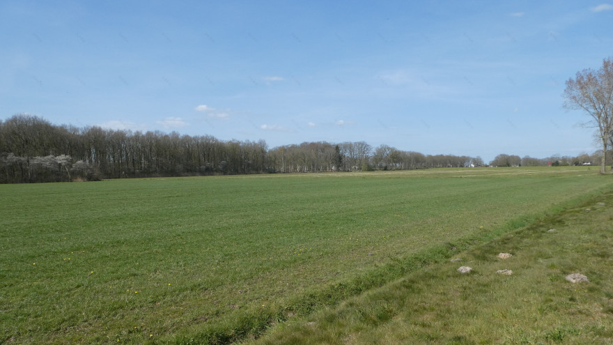 Solar park visualizations - photomontages-9