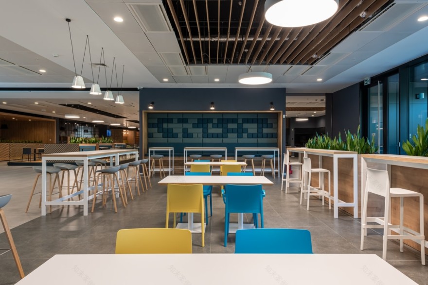 绿色 oasis 的创新办公室设计 梅莱克斯办公室丨保加利亚索非亚丨Fimera Design Studio-33