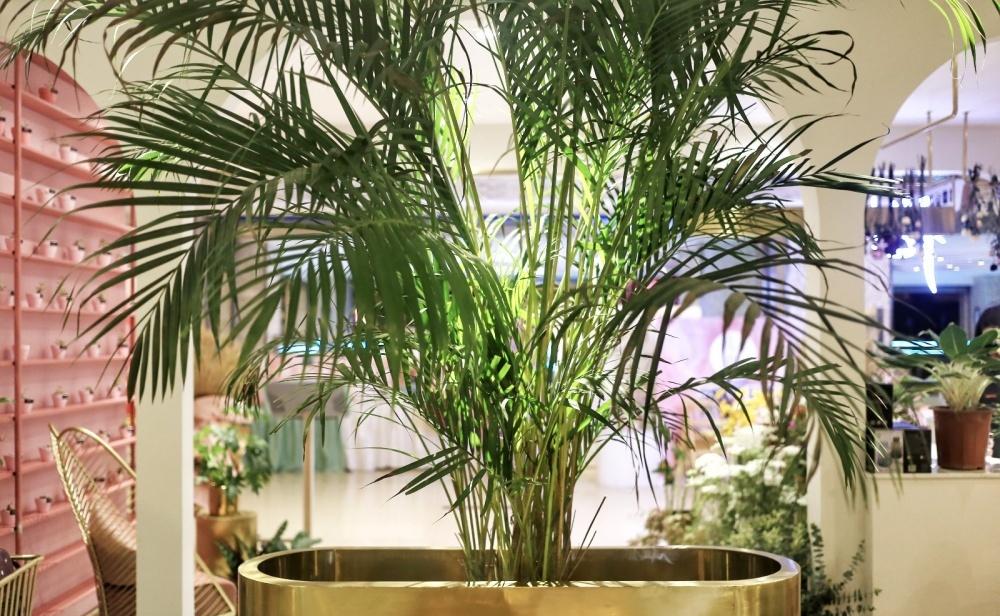 
米斯实景案列 花树西餐厅 -4