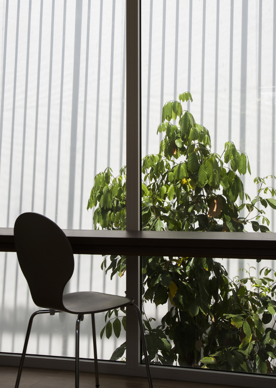 越南 T 住宅 | 家庭互动与环保的共生设计-38