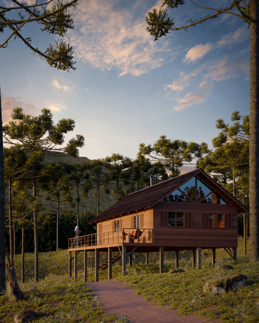 巴西陆地 大西洋森林丨巴西丨Fábio Claudino-8