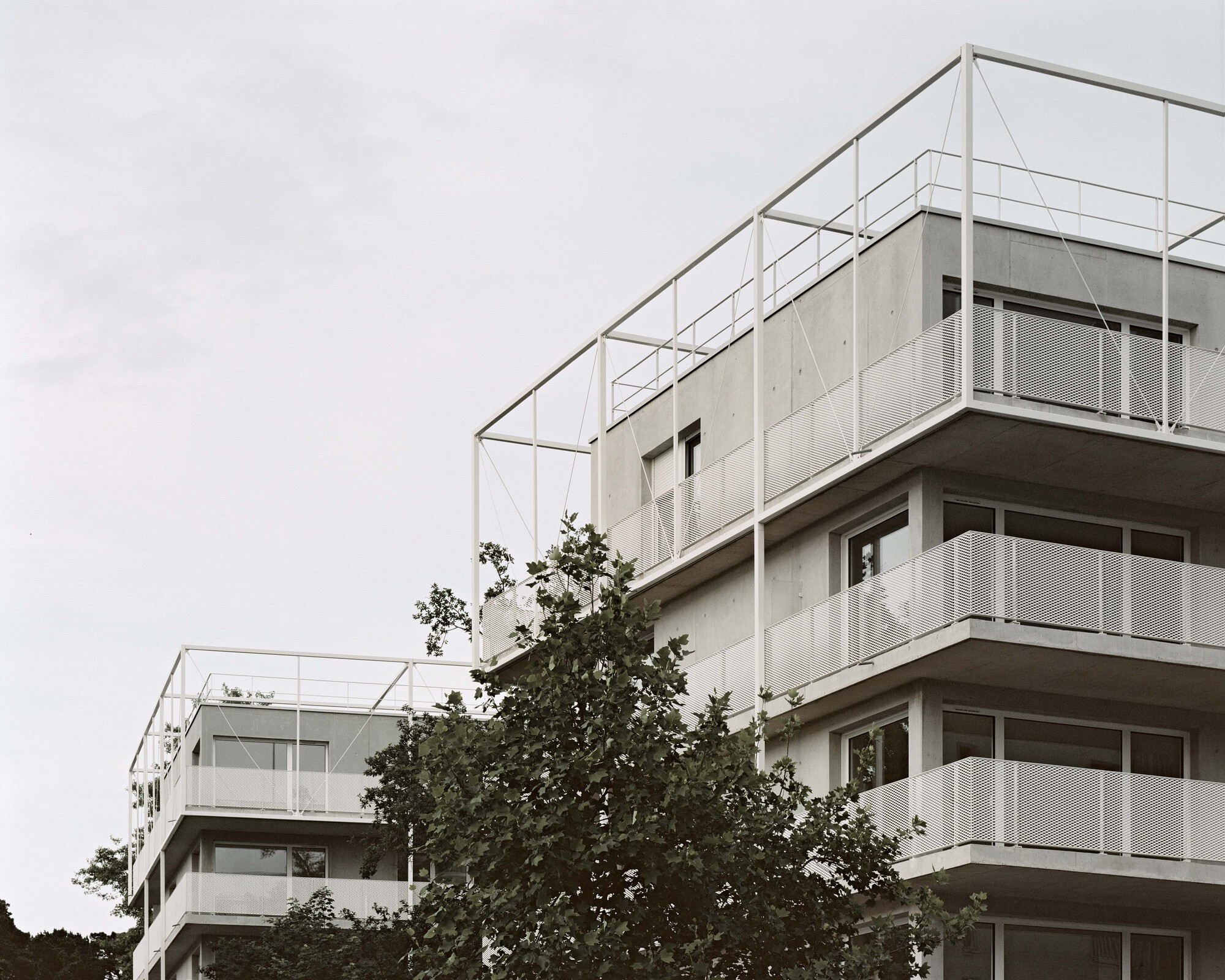 巴什住宅丨法国丨Philippe Dubus Architectes-25