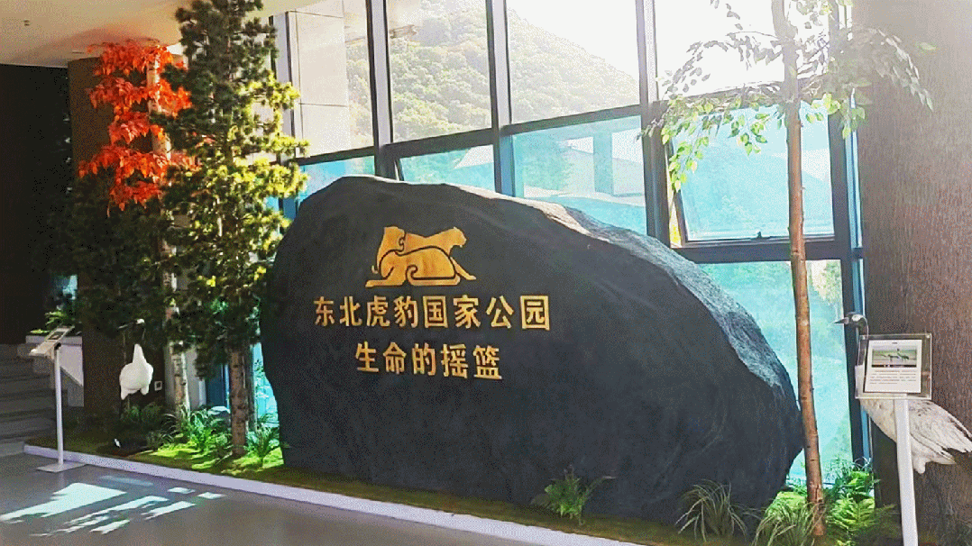 维迈作品|东北虎豹国家公园偷盗猎警示中心亮相新华社及诸多媒体成研学热门!-41