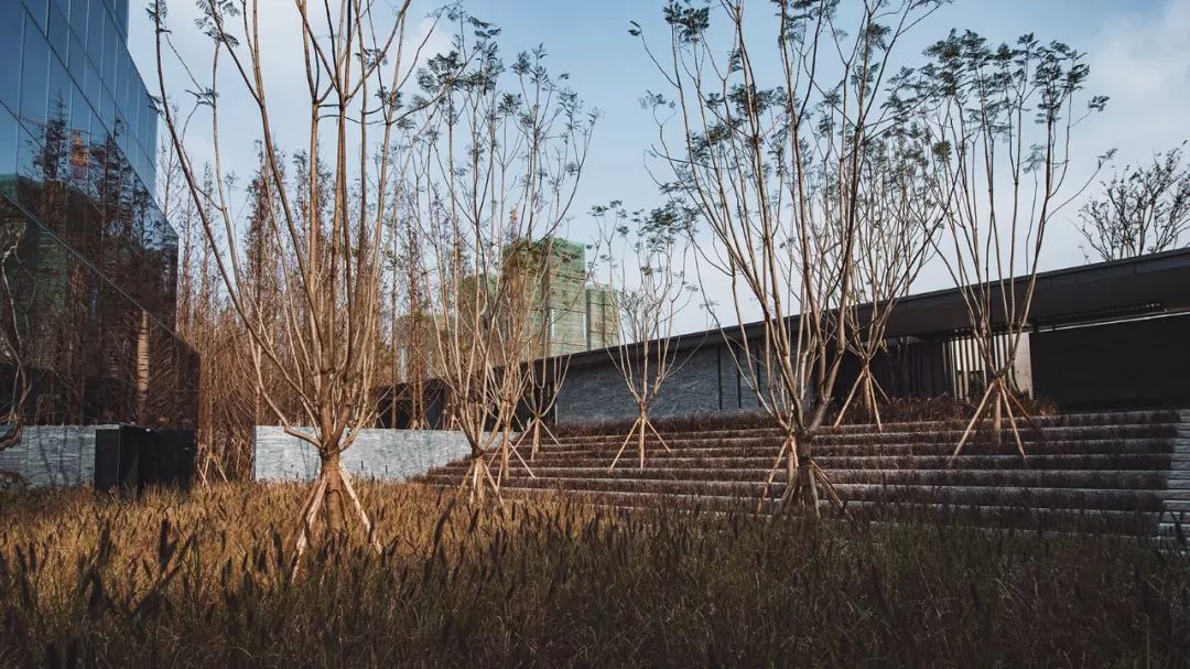 “重庆森林”  | 重庆万科森林公园-51