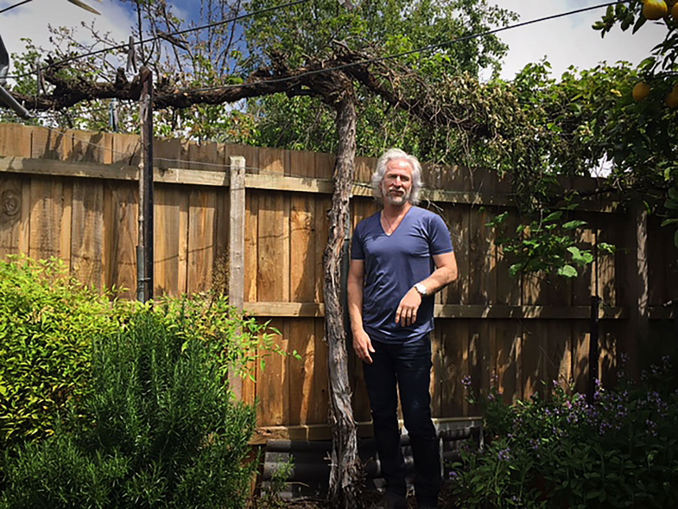 Custom Grape Vine - B.E Architecture-0