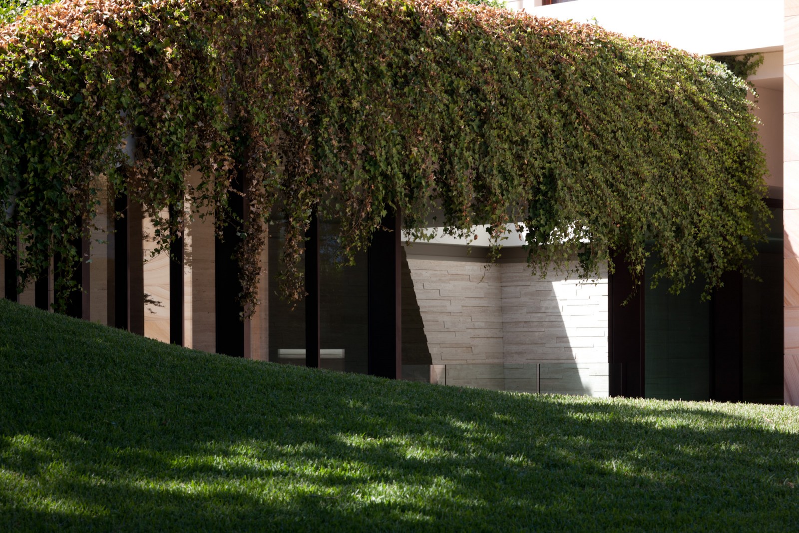 Poolside Jolson Architecture-2