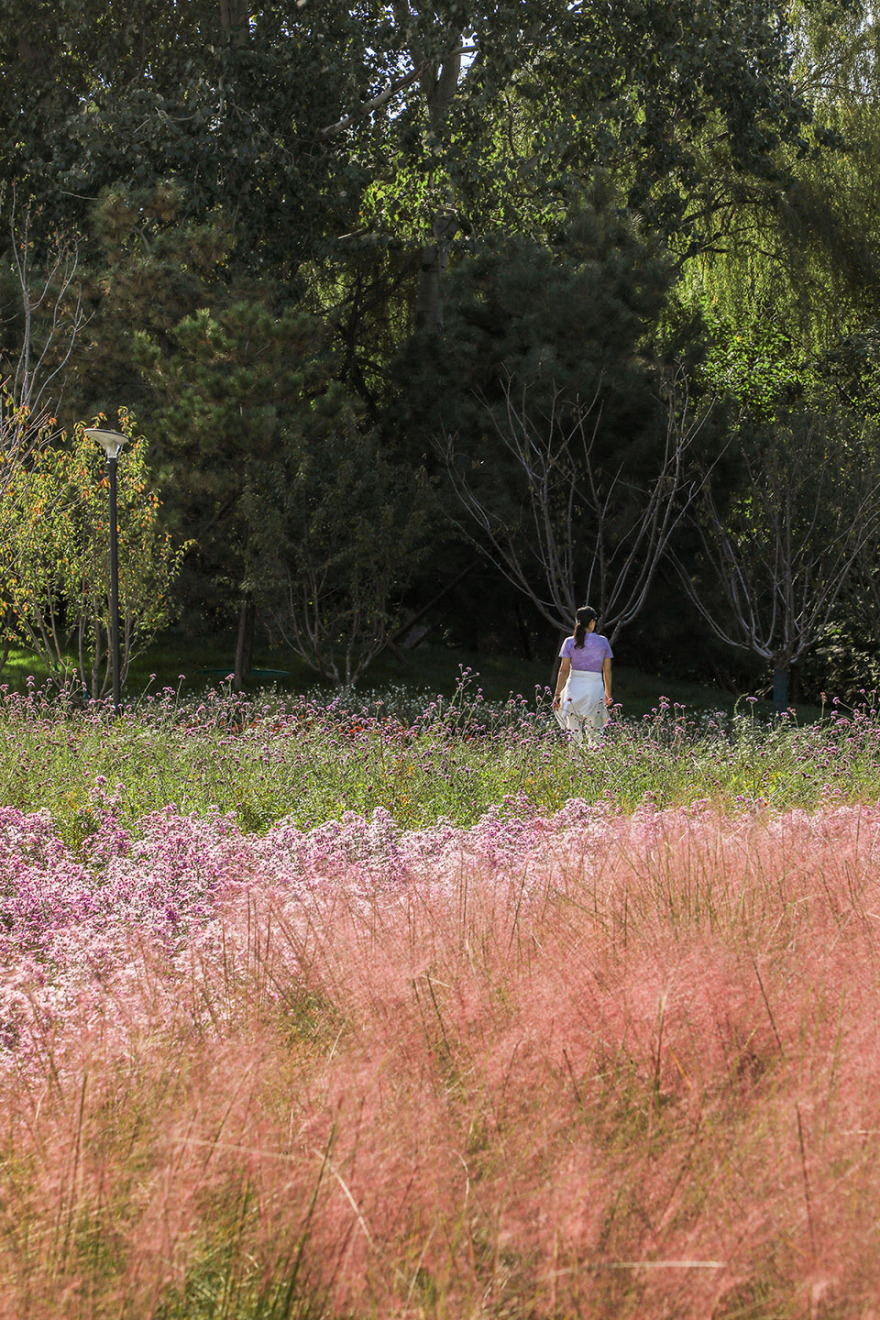 北小河公园樱花谷环境改造提升设计丨中国北京丨埊木设计(CAFA·A城市艺术创新中心)-134
