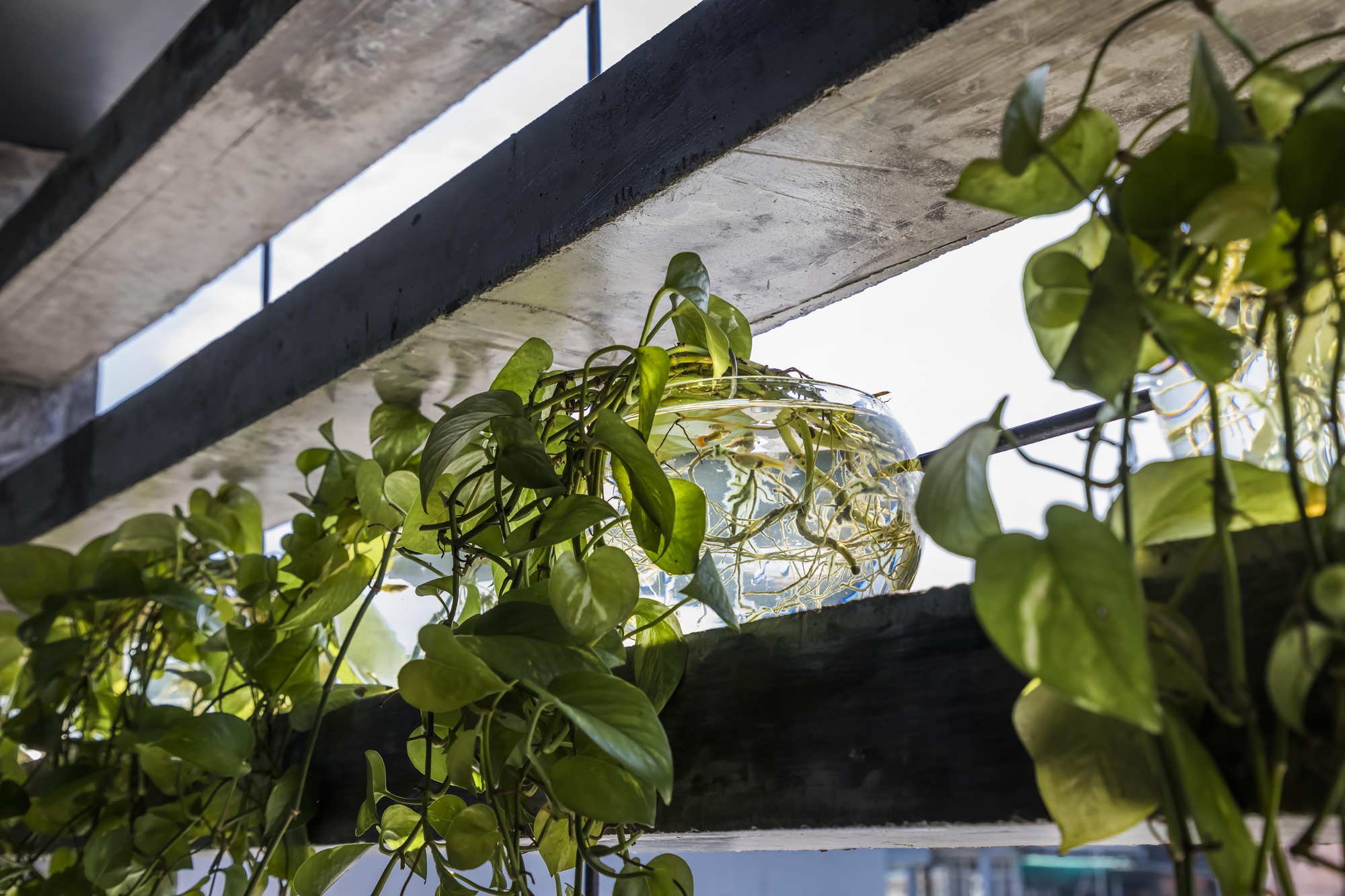 99 Mai Thuc Loan 住宅丨越南丨Cong Sinh Architects-21