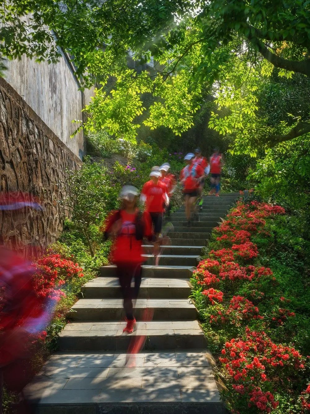 深圳市梧桐山第六届毛棉杜鹃花会景观设计丨中国深圳丨文科园林-52