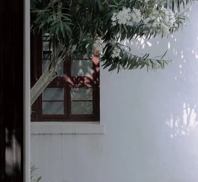 「喜宅」丨中国苏州丨PXD·龎喜设计-11