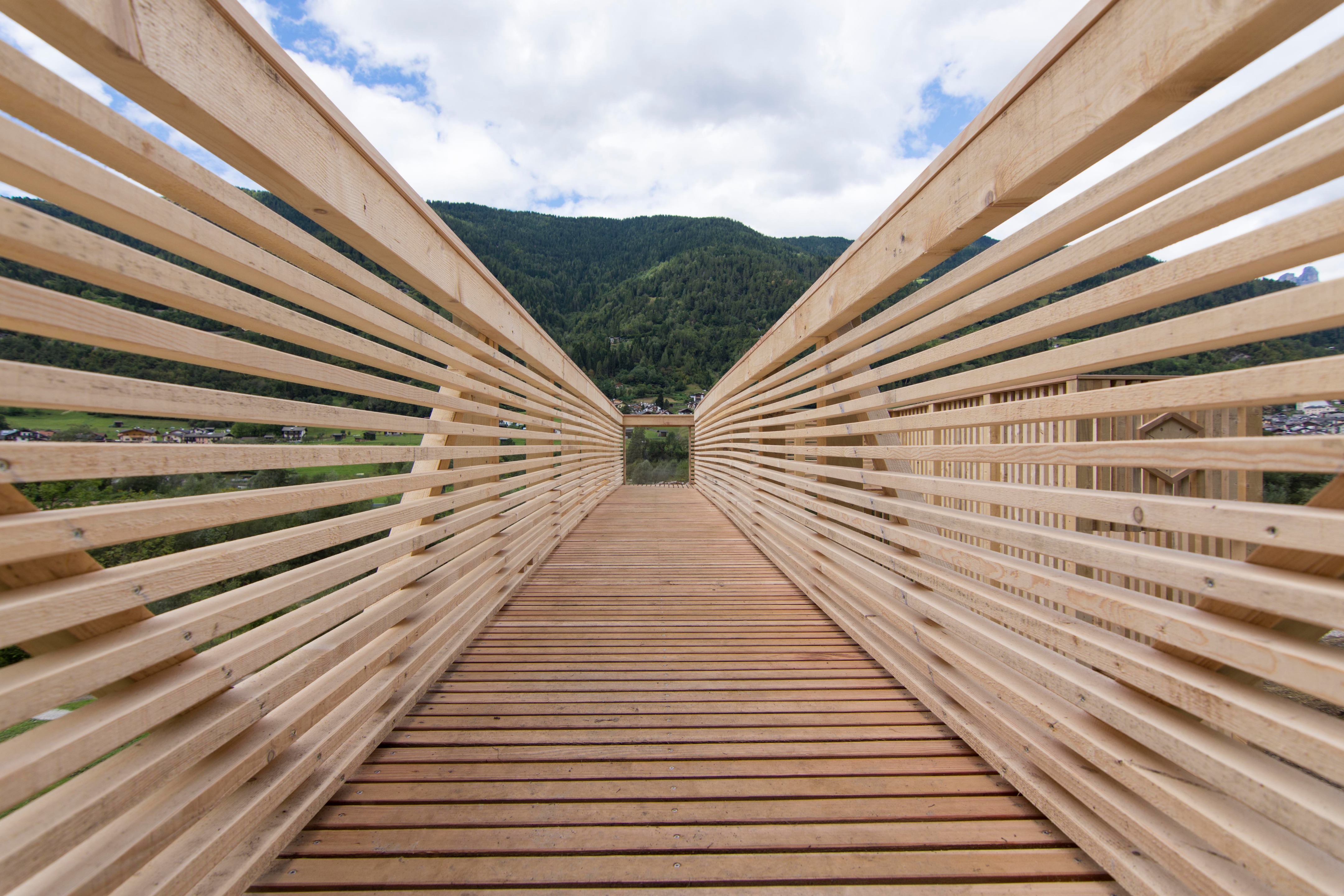 Camposaz 11 · 11 工作坊 · 木构景观建筑的生态实践-21