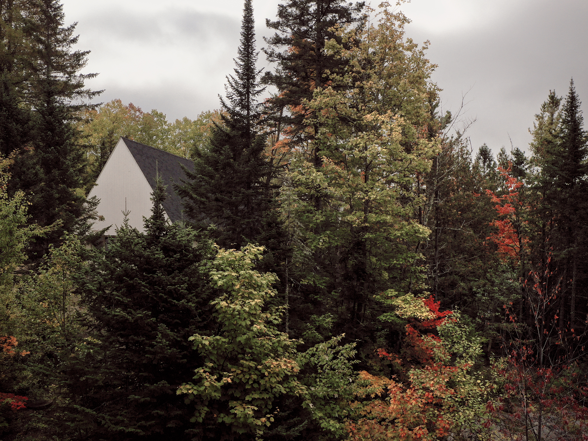 鹰巢屋丨加拿大魁北克丨mainstudio architecture-19