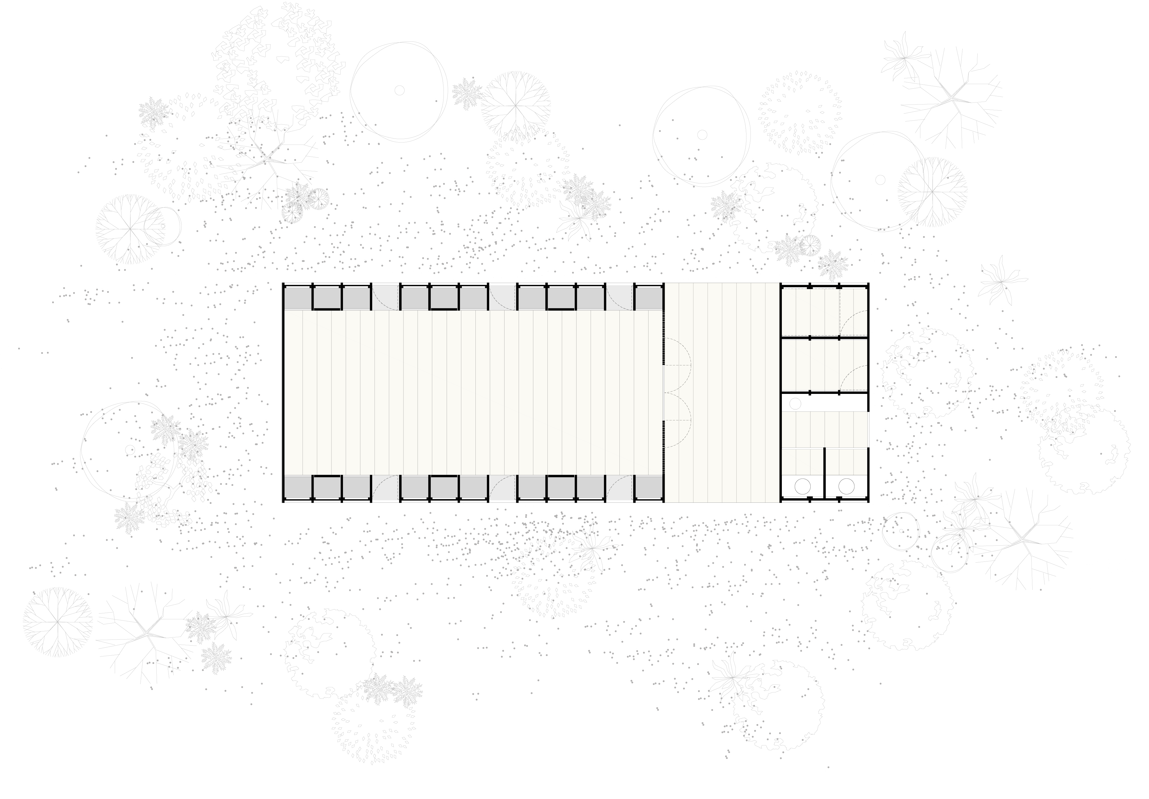 墨西哥社区中心的木框架设计-21