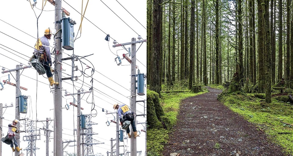 光電森林,台電訓練所所本部綜合大樓競圖提案丨陳章安建築師事務所-14