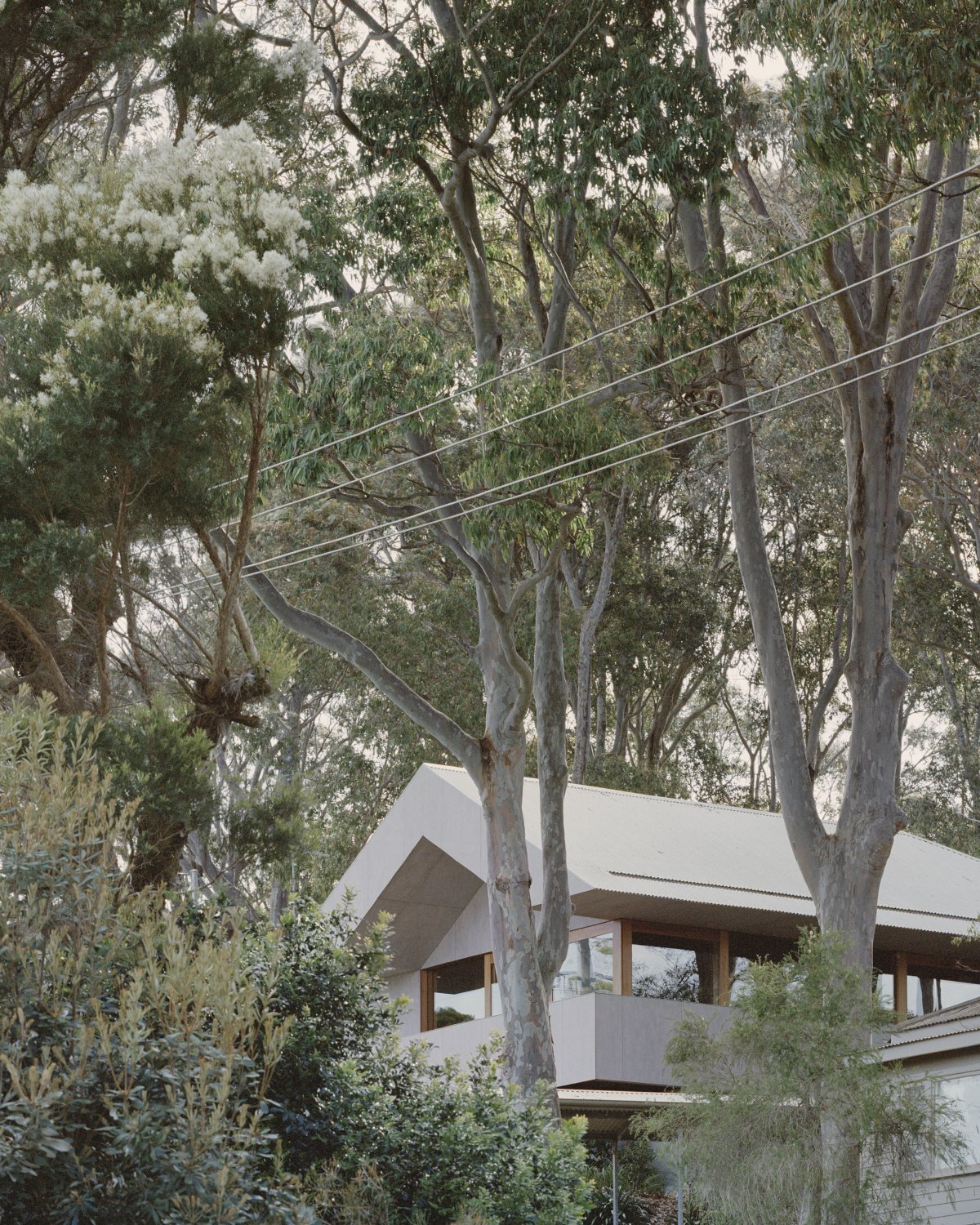 Mossy Point 住宅设计丨澳大利亚新南威尔士-10