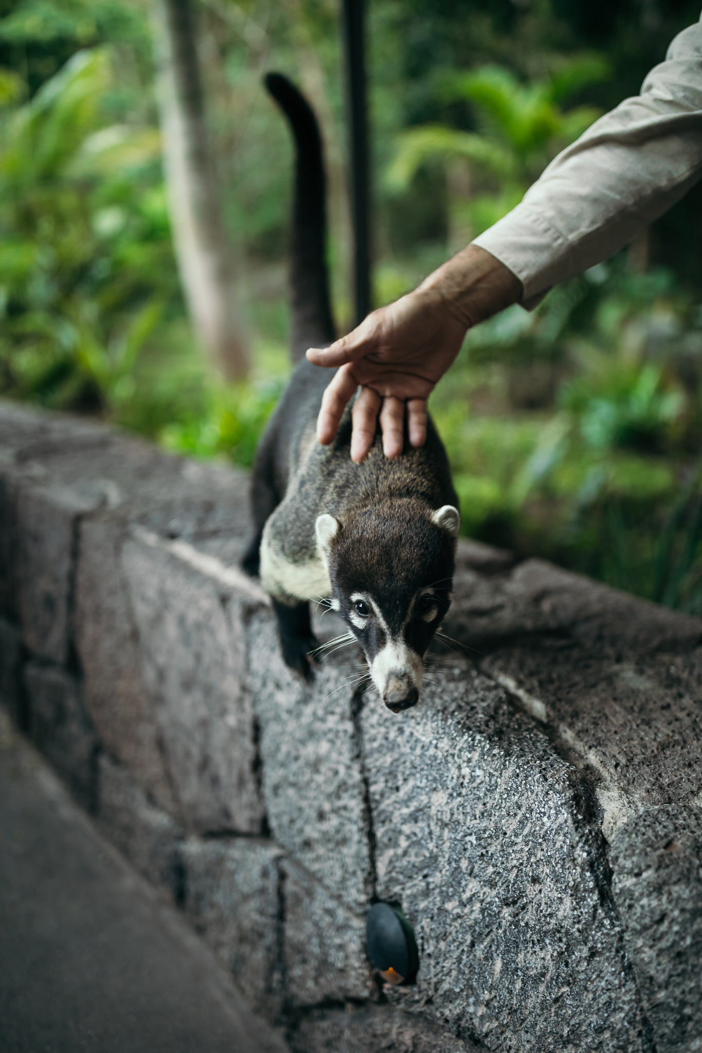 One&Only Mandarina-9