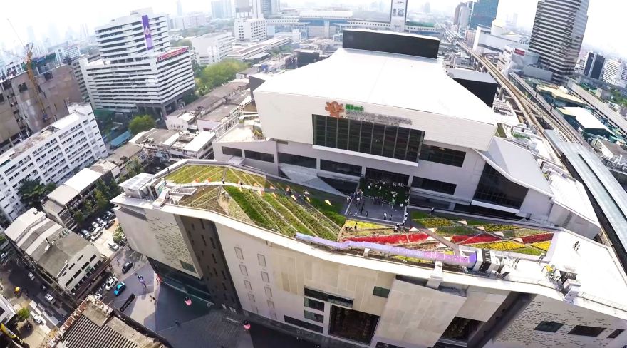 暹罗绿色天空-2