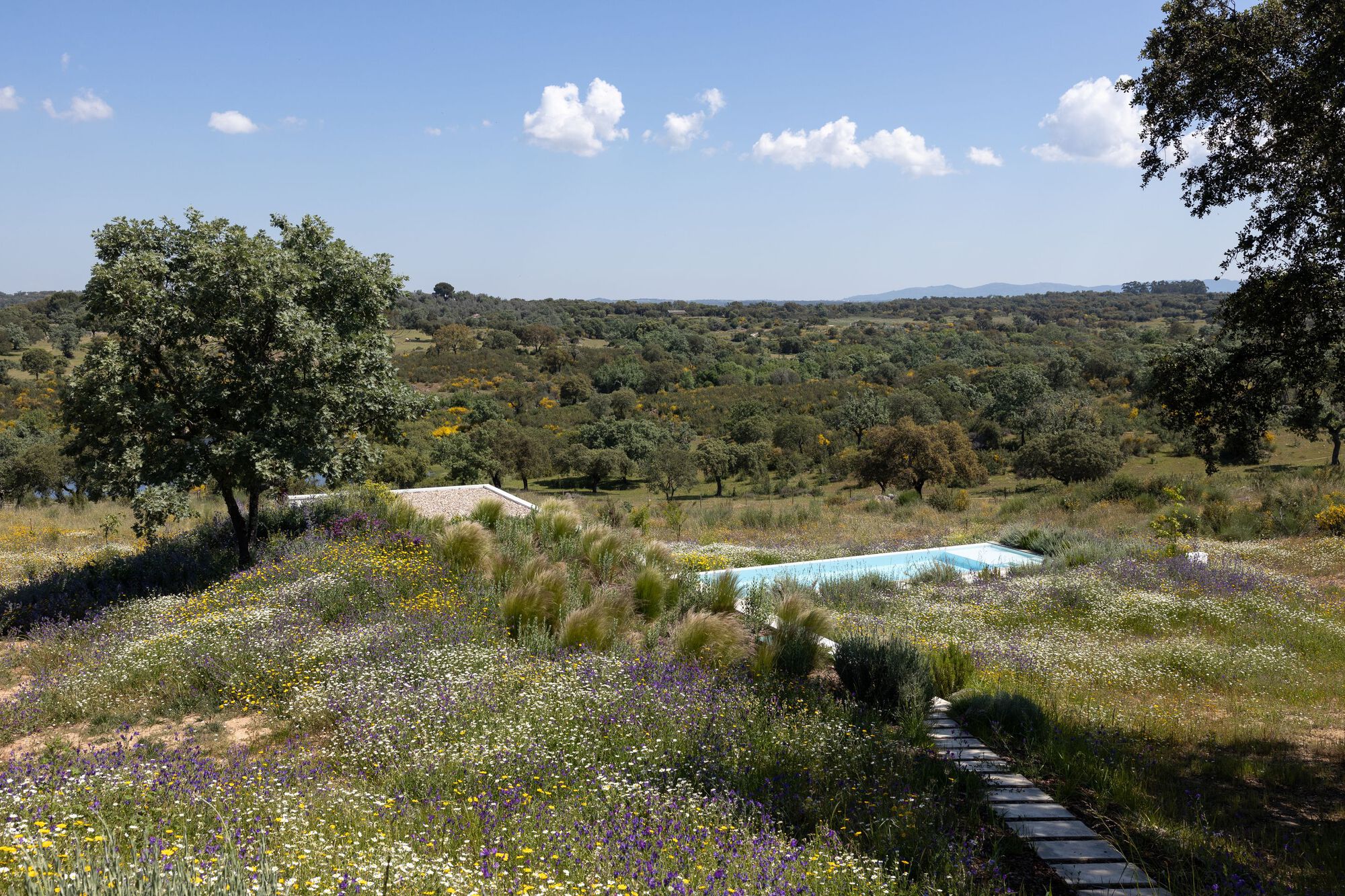 克拉托的房子丨葡萄牙丨Inês Brandão Arquitectura-62