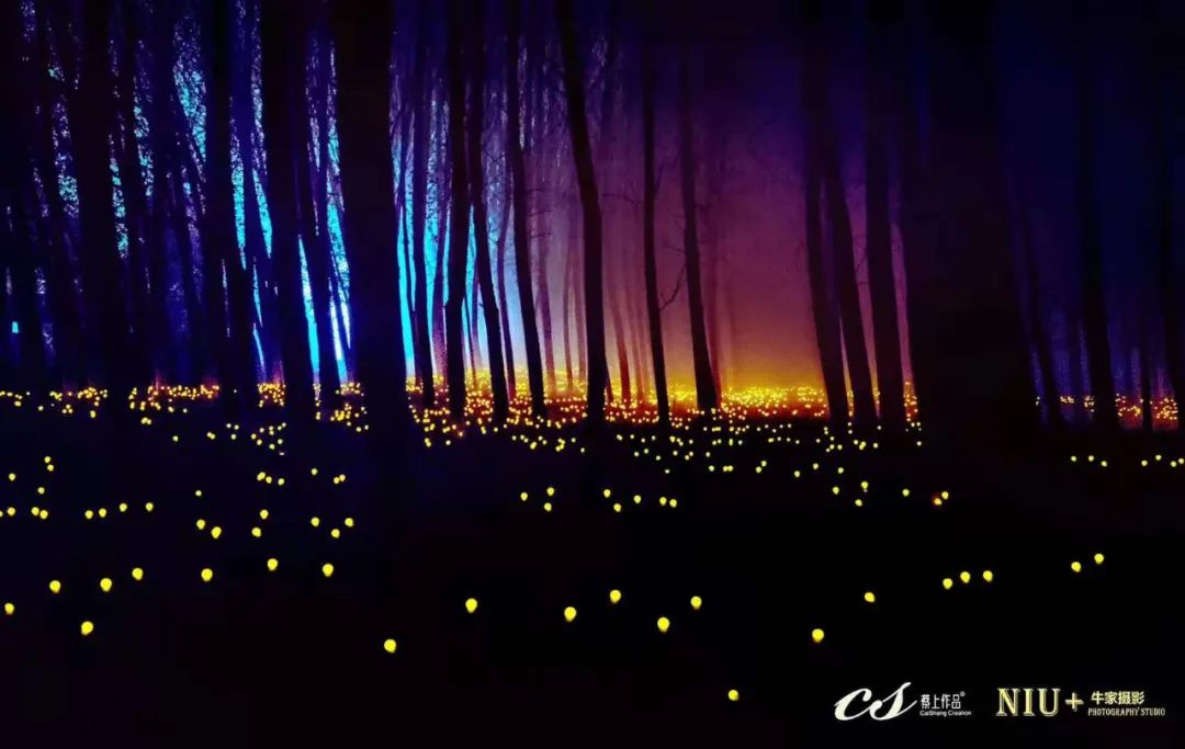 Light·上海魔方灯光艺术节丨中国上海丨蔡上-18