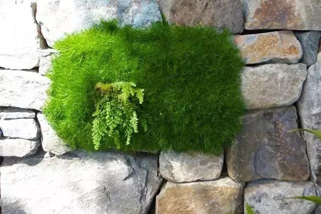 现代城市景观中的嵌石嵌草艺术-33