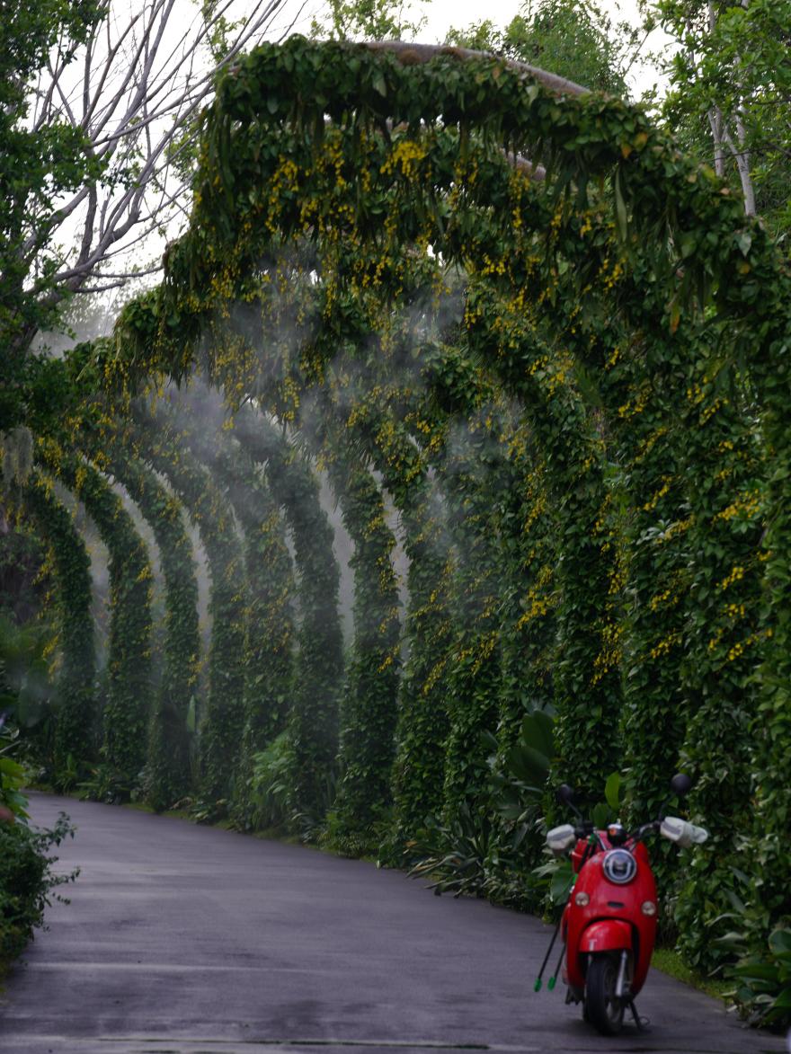 三亚海棠河生态公园(二期)·热带奇趣园丨中国三亚丨LOLA Landscape Architects B.V.-75