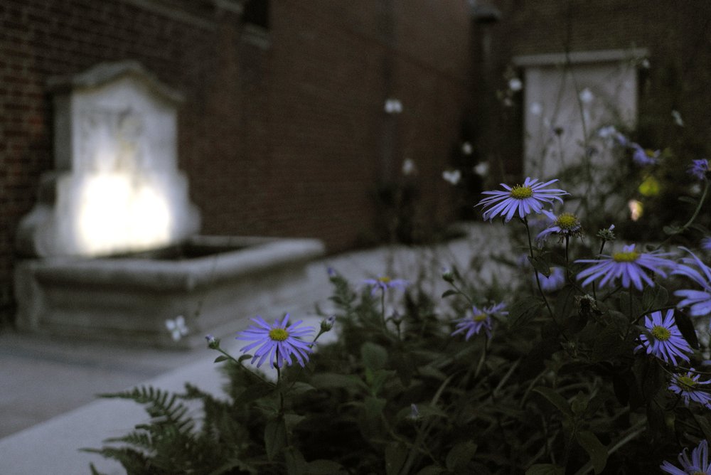 威斯敏斯特验尸官法庭翻新与扩建项目丨英国伦敦丨Lynch Architects-27