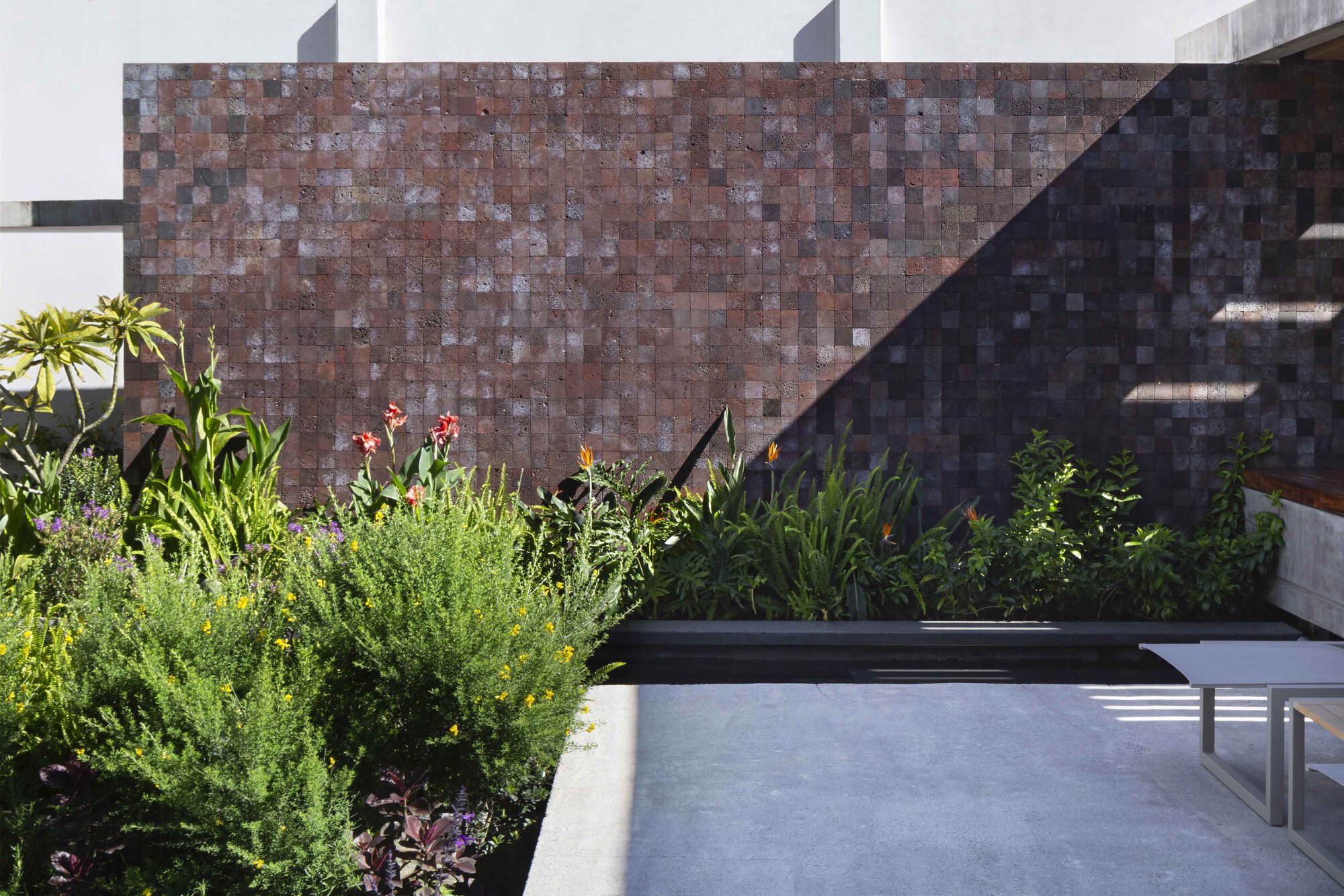 蜂鸟屋丨墨西哥墨西哥城丨Estudio Libre MX-25