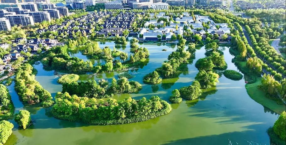 乌镇雅园丨中国浙江丨浙江蓝颂园林景观设计集团有限公司-5