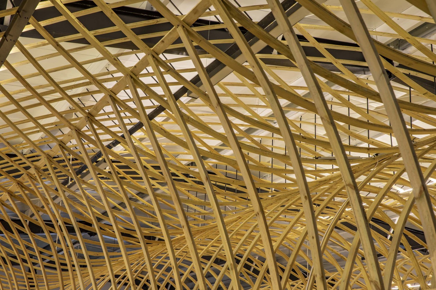 云台山冰菊展示架丨中国焦作丨LUO studio-34