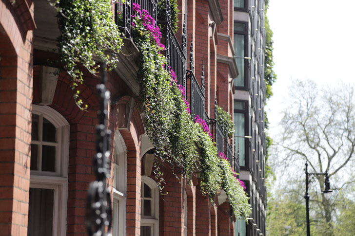 伦敦雅典娜豪华酒店-27