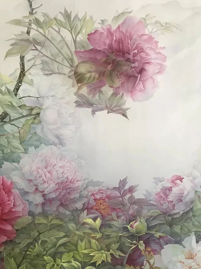 牡丹养护攻略 | 花园中的花中之王-3